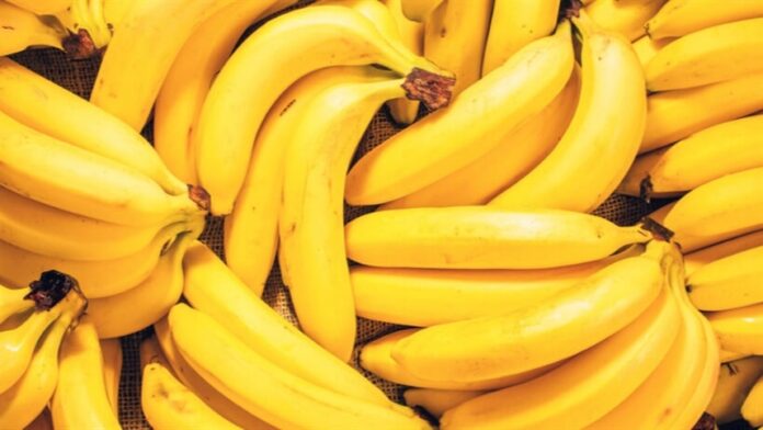 Banana: exportação brasileira ao Mercosul está devagar