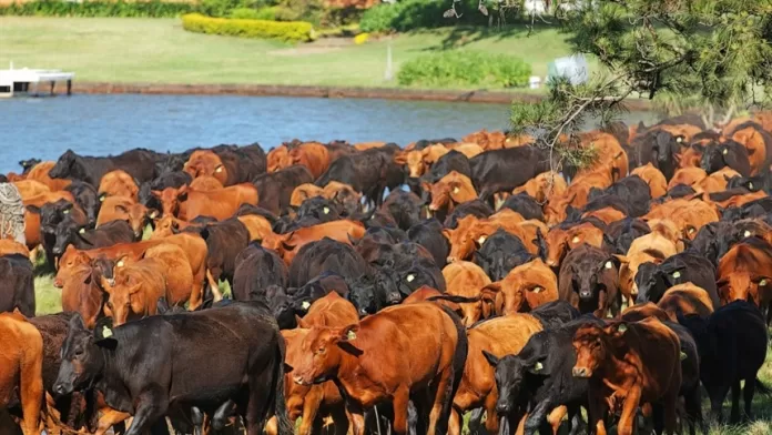 Produtores ganham mais prazo para regularizar uso de áreas