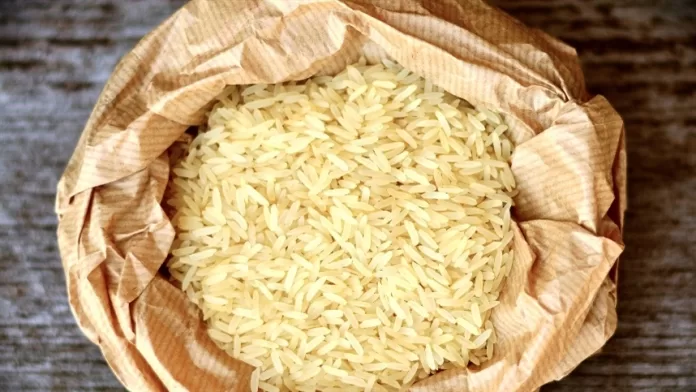 Adubação com boro do arroz