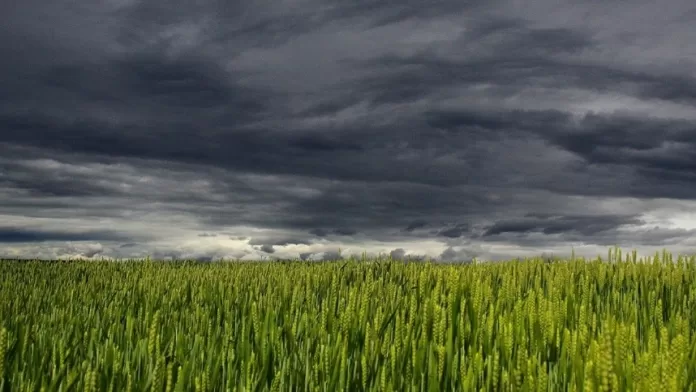 Clima ameaça o rendimento das lavouras na Europa