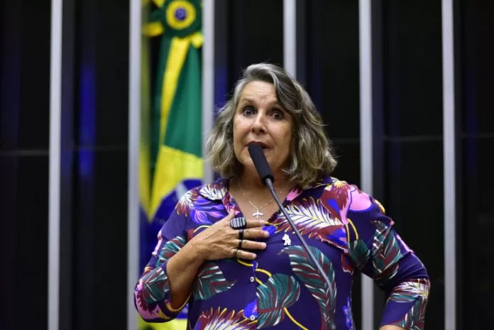 Deputada Erika Kokay discursa no Plenário da Câmara