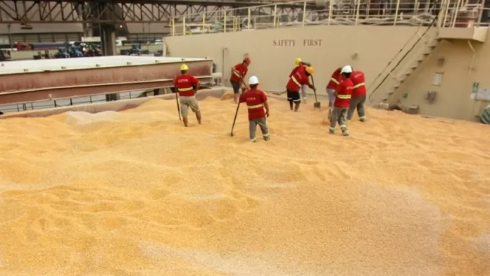 EUA: especuladores aumentam posições do milho