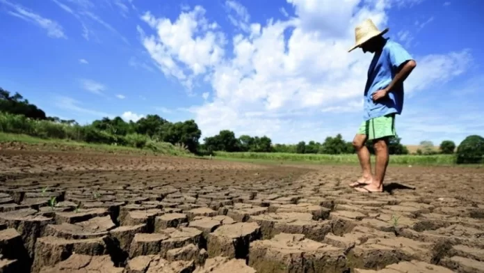 Espanha gastará 2,2 bi de euros para aliviar impacto da seca