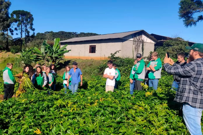 Cultivo de frutas e hortaliças, atrai público jovem no Paraná