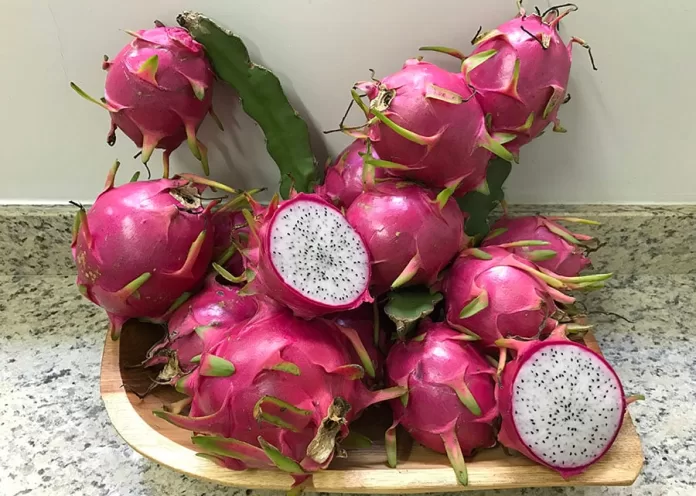 pitaya