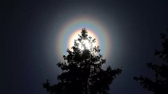 Os anéis de arco-íris em volta do Sol são causados por grãos de pólen