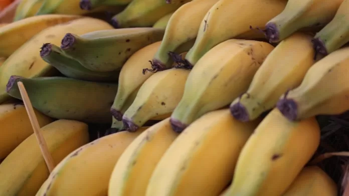 Banana: prata anã tem preço estável na Ceagesp