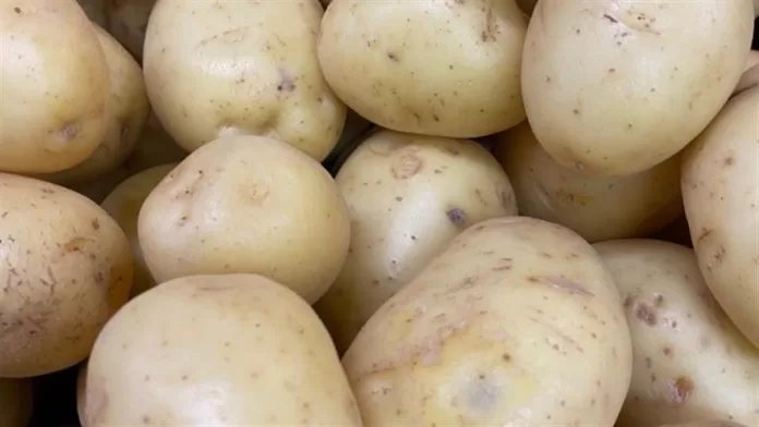 Batata: preços sobem ainda mais nos atacados