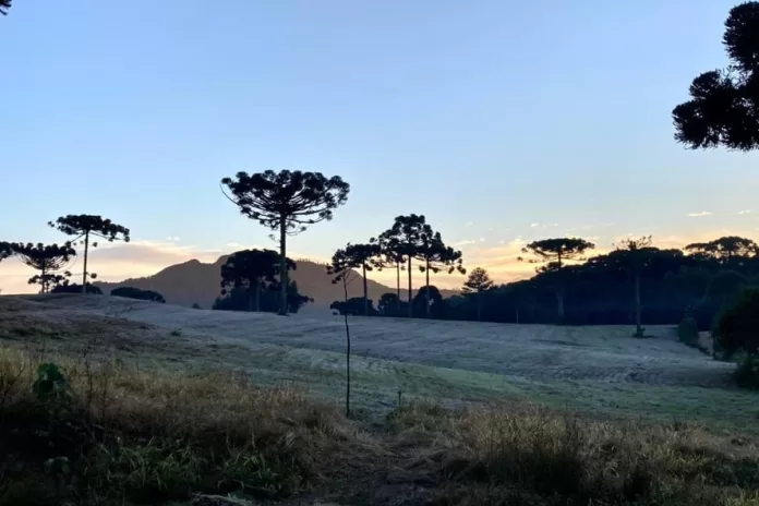 Geada no Paraná, tempo, previsão do tempo