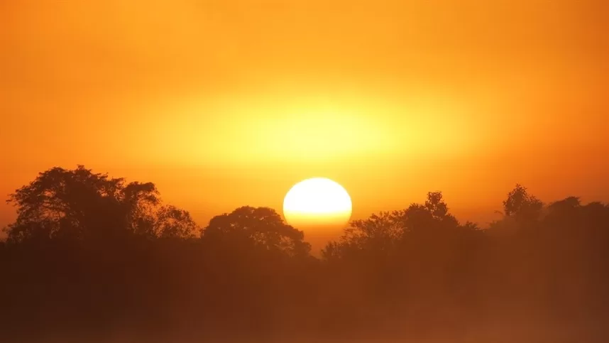 Conheça as telhas fotovoltaicas “autolimpantes”