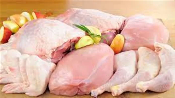 Exportações de carne de frango crescem em maio