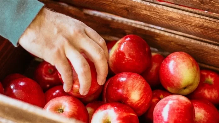 Italianos armazenam frutas em cavernas