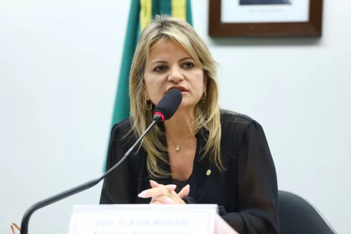 Audiência Pública - Homenagem ao dia do profissional de educação física. Dep. Flávia Morais (PDT - GO)