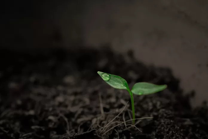 Chuva clima tempo - ministros da agricultura