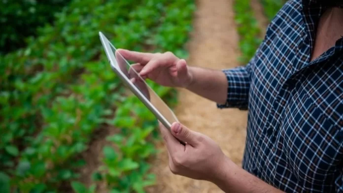 Como o agronegócio pode se defender de ciberataques