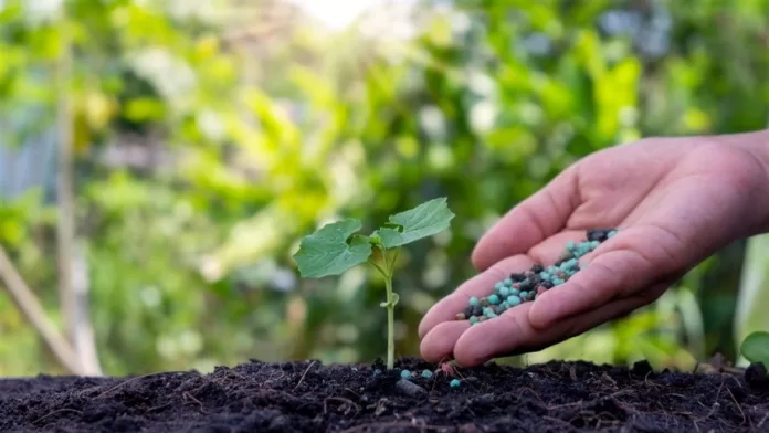 Empresa de fertilizantes aposta em amônia "sustentável"