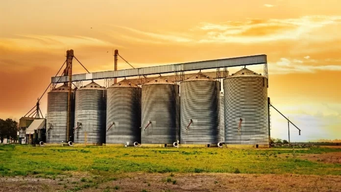 Grãos ucranianos não podem apodrecer em silos