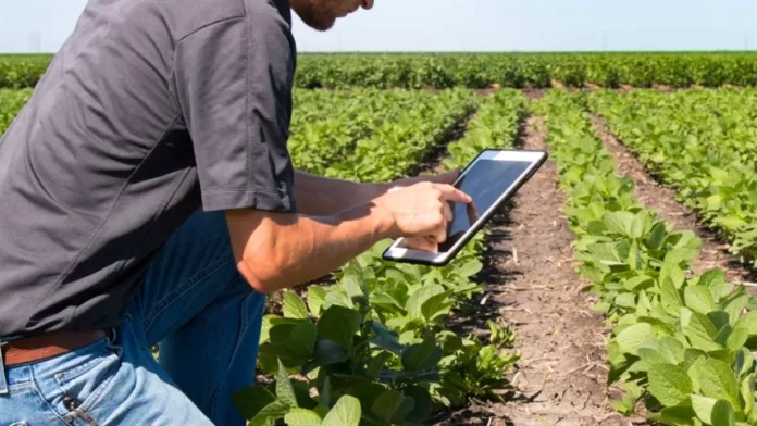 Inteligência Artificial no mercado de insumos agrícolas