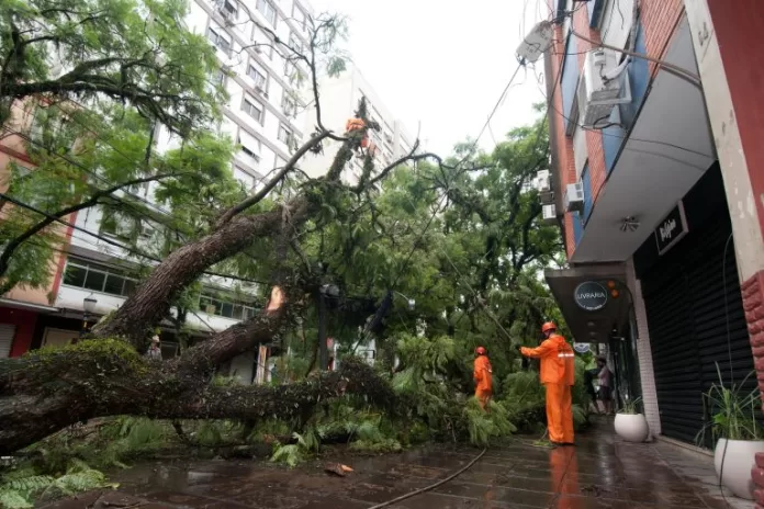 Energia - elétrica - queda de árvores rede elétrica temporais mudanças climáticas clima chuva vento perigo