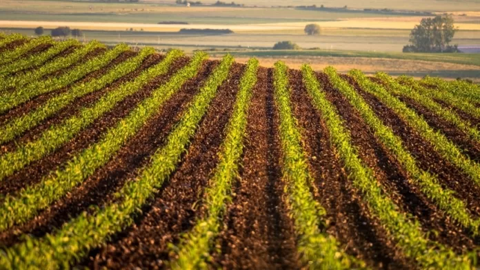 Mercado de commodities agrícolas é tema de debate