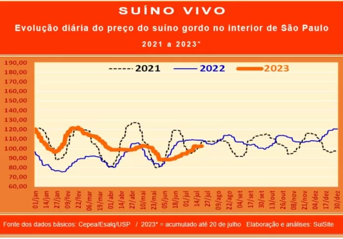 Preço do suíno apresenta incremento de 12,3%