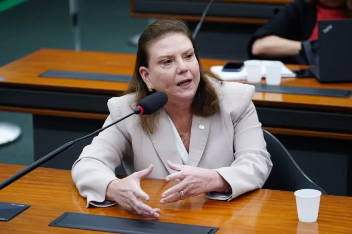 Deputada Fernanda Pessoa (União-CE) fala em comissão na Câmara dos Deputados