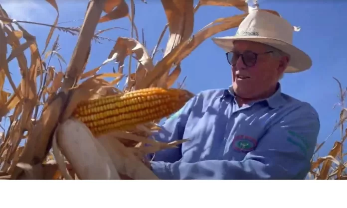 Alcindo Jorge Schinoca, agricultor de Jaciara (MT)