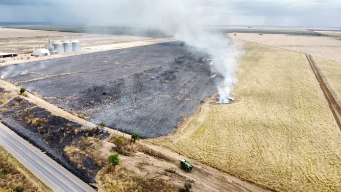 Área equivalente a 15 campos de futebol é atingida por incêndio em Luís Eduardo Magalhães. Bombeiros levaram cerca de 24 horas para finalizar combate