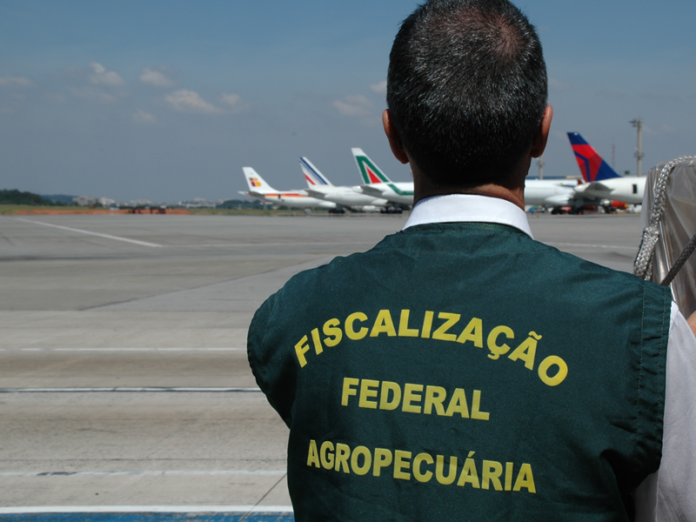 concurso público, Ministério da Agricultura