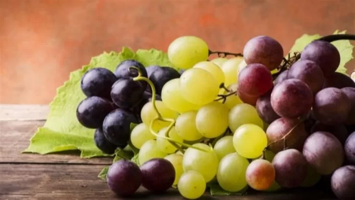 Cotações das uvas brancas sem semente são firmes no Vale