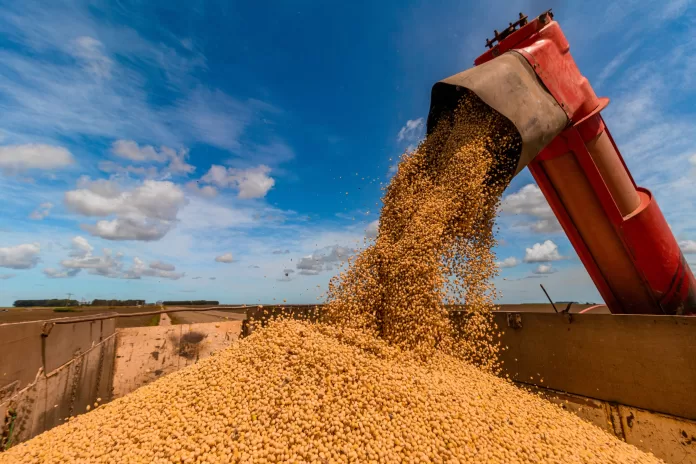 Produção de grãos na Bahia