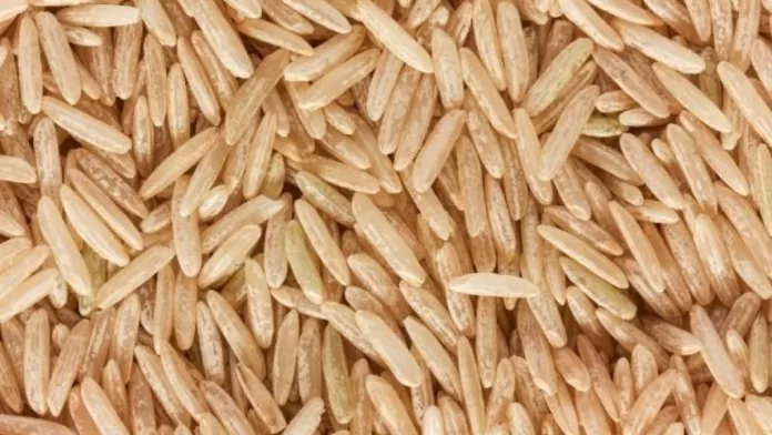 Cenário de oferta e demanda global do mercado de arroz