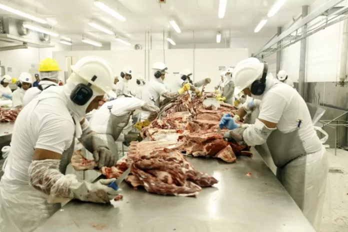 Homens trabalham num frigorífico. Eles estão com uniformes brancos e cortam carne em cima de um balcão