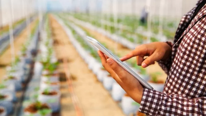 O impacto da rastreabilidade e da IA nos alimentos