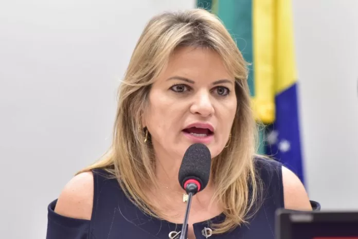 Deputada Flávia Morais (PDT-GO) fala em comissão da Câmara dos Deputados