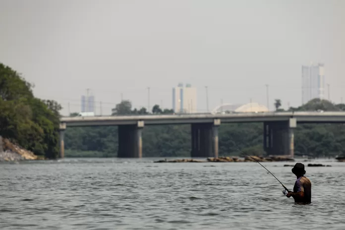 Desde o dia 1º de janeiro deste ano, está proibido o transporte, comércio e armazenamento de peixes oriundos de rios mato-grossenses no Estado