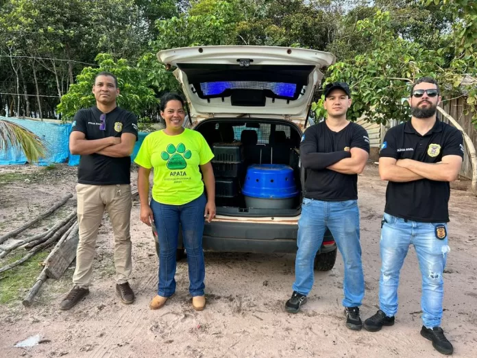 Polícia Civil resgata cães e aves em situação de maus-tratos em Campos de Júlio