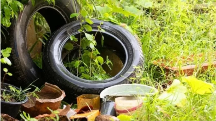 Barra do Garças registra mais de 270 casos de dengue; pacientes com sinais de dengue devem procurar Unidades de Saúde