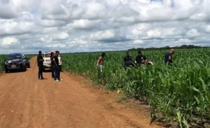 Corpo de homem com sinais de tiros na cabeça é achado em lavoura de milho