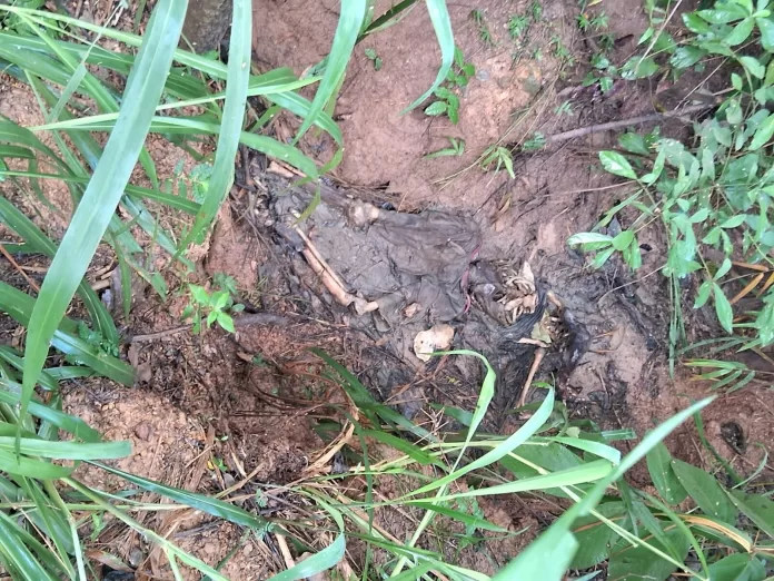 Corpo em estado de decomposição é encontrado em gruta no setor Abel Lira, em Barra do Garças