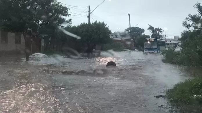 CNN Brasil