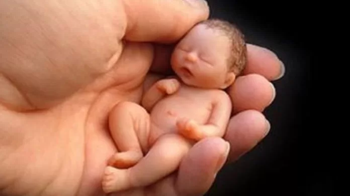 Mãe encontra feto no guarda-roupa de filha de 18 anos; PJC investiga aborto