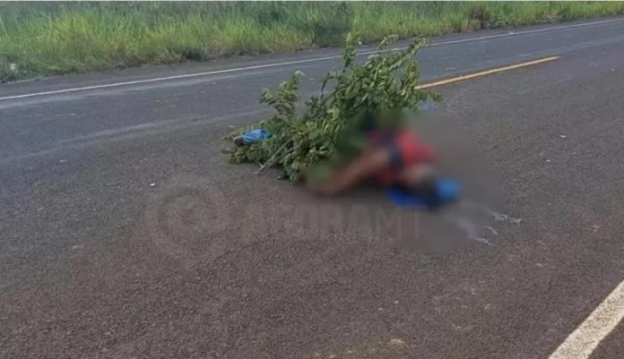 Motociclista de 52 anos morre após atingir animal em rodovia no interior de MT