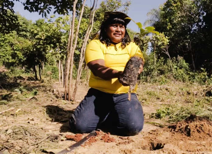 Aldeia Wederã, na T.I. Pimentel Barbosa, recebe projeto de incentivo ao plantio agroflorestal