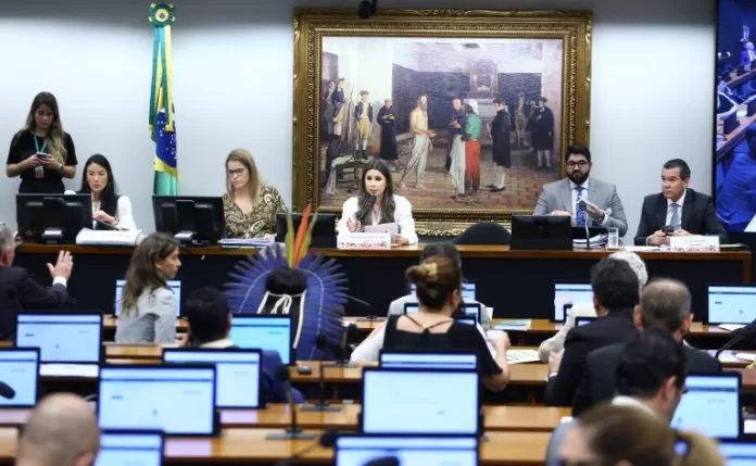 Deliberação da Comunicação de Medida Cautelar. Dep. Caroline de Toni (PL - SC)