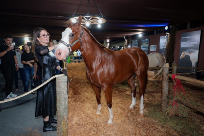 Virgínia Mendes participa da abertura da Semana do Cavalo em Cuiabá