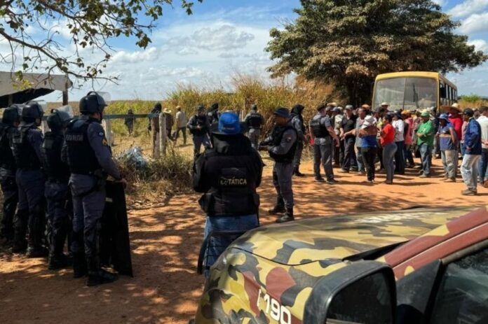 Padre e defensora são presos acusados de invasão de terra no Xingu