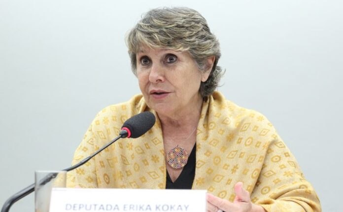 Audiência Pública - Estatuto dos Povos Ciganos. Dep. Erika Kokay(PT - DF)