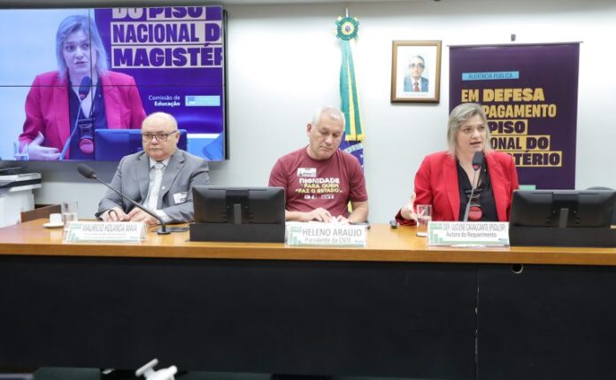 Audiência Pública - Descumprimento do Piso Salarial dos Professores. Secretaria de Articulação Intersetorial (SASE/MEC), Mauricio Holanda Maia. Presidente - Confederação Nacional dos Trabalhadores em Educação, Heleno Araújo. Dep. Professora Luciene Cavalcante (PSOL-SP)