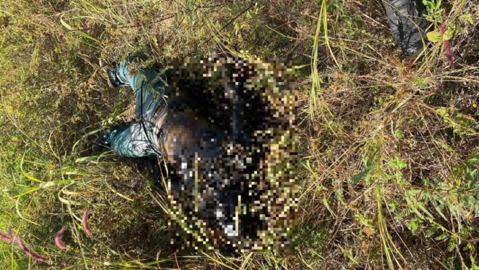 Corpo de homem é encontrado próximo a parque de exposições em decomposição na cidade de Água Boa